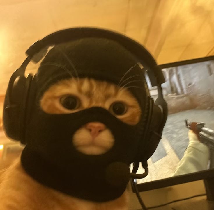 ريمو  | ʀᴇᴍᴏ